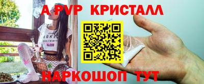 шишки Кингисепп
