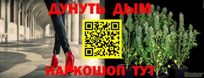 шишки Кингисепп