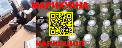 шишки Кингисепп