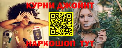 шишки Кингисепп