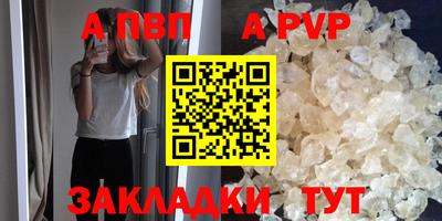 шишки Кингисепп