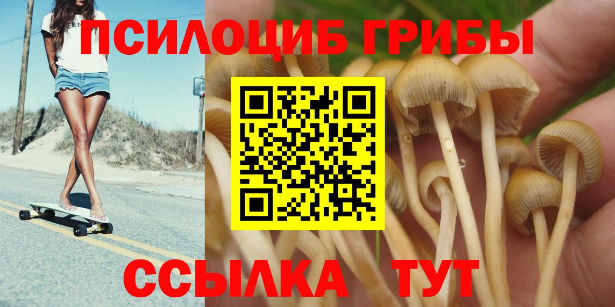 Краснокаменск  Галлюциногенные грибы прущие грибы  Вход с VPN 